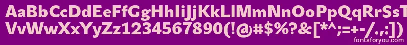 JohnsansBlackPro Font – Pink Fonts on Purple Background