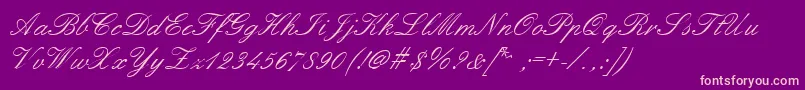 Embellish-Schriftart – Rosa Schriften auf violettem Hintergrund