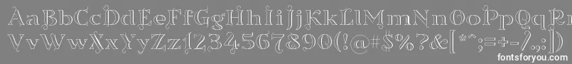 フォントSortefaxs01 – 灰色の背景に白い文字