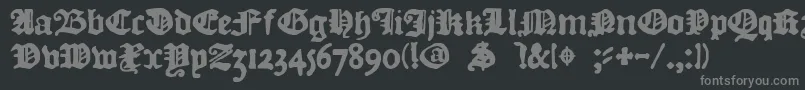 フォントDkCourant – 黒い背景に灰色の文字