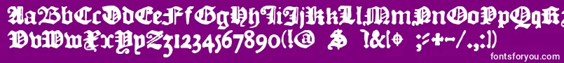 フォントDkCourant – 紫の背景に白い文字