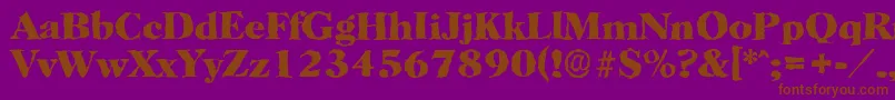 HorshamrandomXboldRegular Font – Brown Fonts on Purple Background