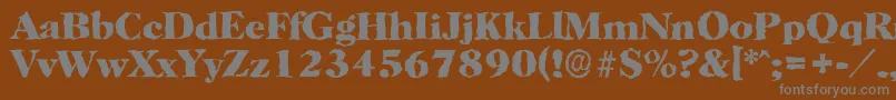 HorshamrandomXboldRegular Font – Gray Fonts on Brown Background