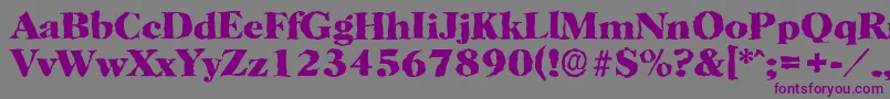 Czcionka HorshamrandomXboldRegular – fioletowe czcionki na szarym tle