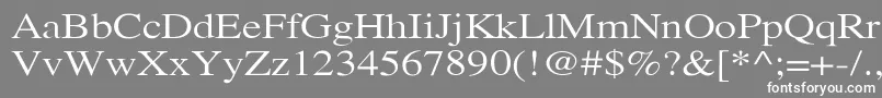 フォントXeroxSerifWide – 灰色の背景に白い文字