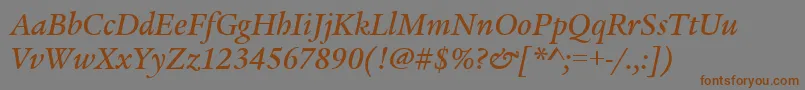 LegacySerifMdItcTtMedita Font – Brown Fonts on Gray Background