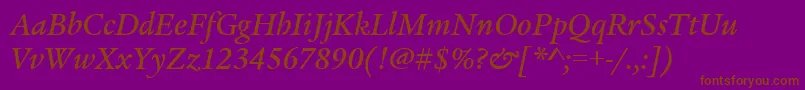 LegacySerifMdItcTtMedita Font – Brown Fonts on Purple Background
