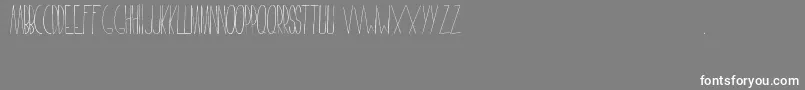 FaustinaFont Font – White Fonts on Gray Background