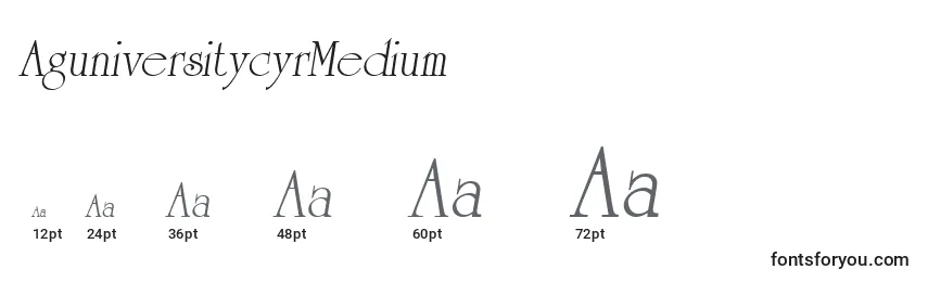 Размеры шрифта AguniversitycyrMedium