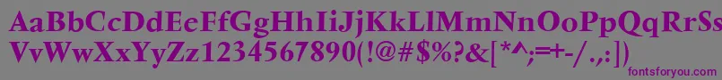 VarennesBold-fontti – violetit fontit harmaalla taustalla