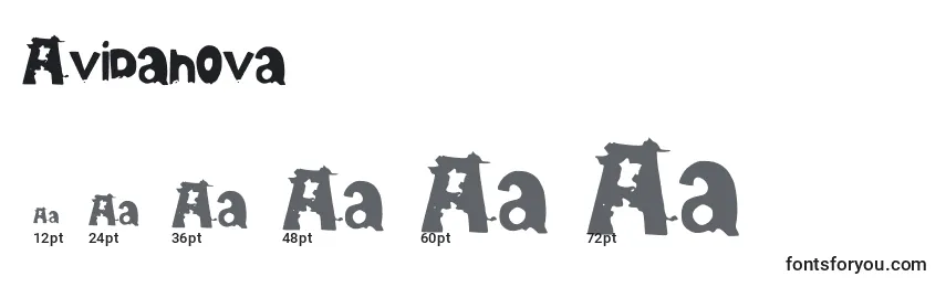Größen der Schriftart Avidanova