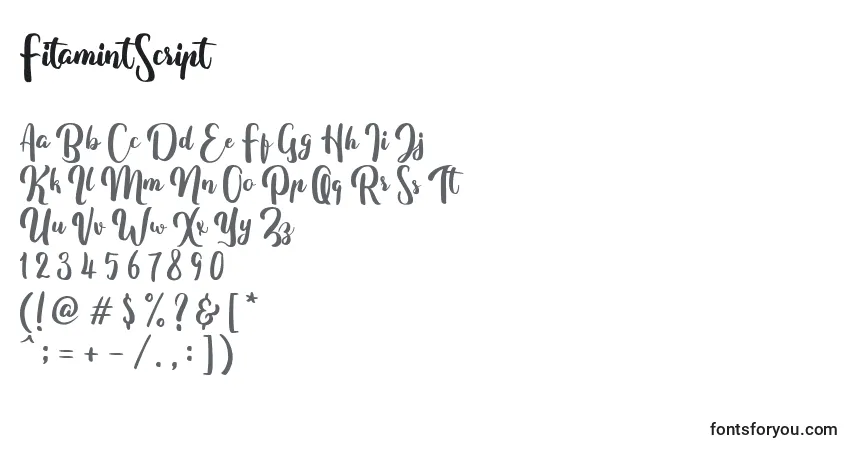 Шрифт FitamintScript – алфавит, цифры, специальные символы