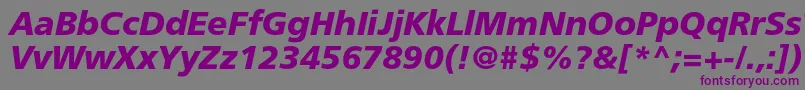 FreesetboldcItalic Font – Purple Fonts on Gray Background