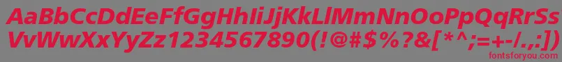 FreesetboldcItalic Font – Red Fonts on Gray Background