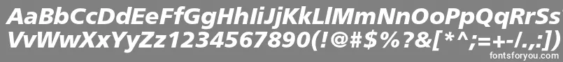 FreesetboldcItalic Font – White Fonts on Gray Background