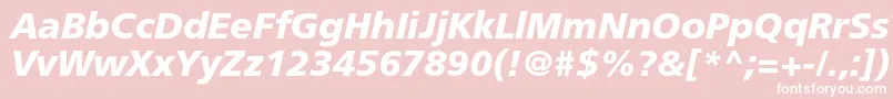 FreesetboldcItalic Font – White Fonts on Pink Background