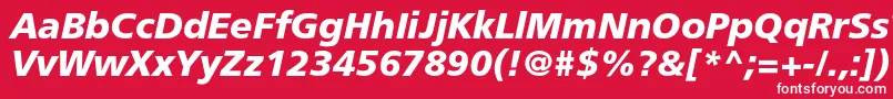 FreesetboldcItalic Font – White Fonts on Red Background