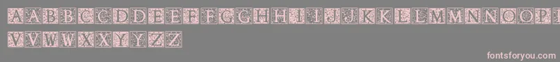 Czcionka Anabel – różowe czcionki na szarym tle