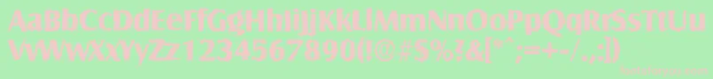 SalzburgrandomXboldRegular Font – Pink Fonts on Green Background