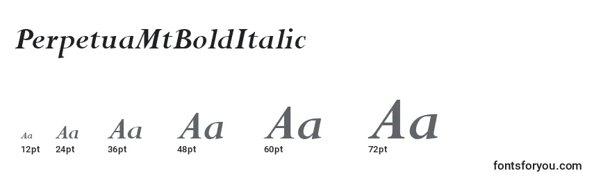 Größen der Schriftart PerpetuaMtBoldItalic