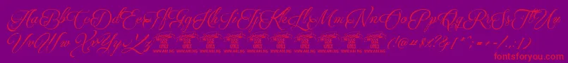 QaskinblackPersonaluse Font – Red Fonts on Purple Background