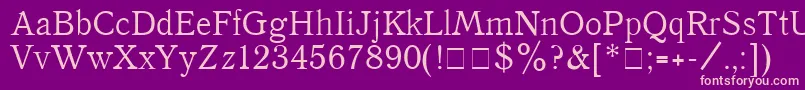 QuantAntiquaPlain Font – Pink Fonts on Purple Background