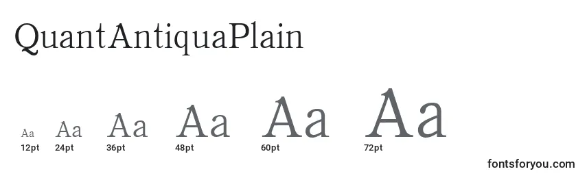 QuantAntiquaPlain Font Sizes