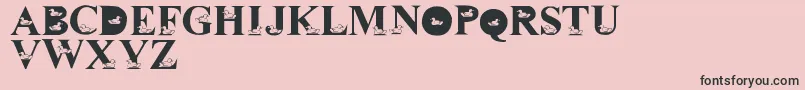 フォントLmsDavidsDucks – ピンクの背景に黒い文字