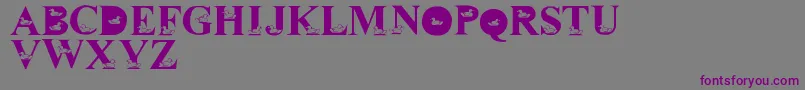 LmsDavidsDucks-Schriftart – Violette Schriften auf grauem Hintergrund