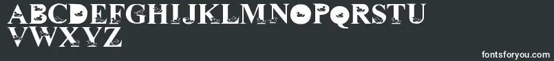 LmsDavidsDucks Font – White Fonts on Black Background