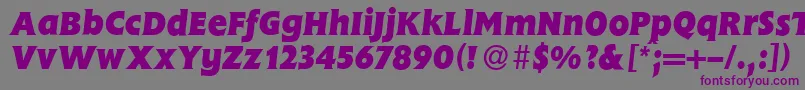 FlemingHeavyItalic Font – Purple Fonts on Gray Background