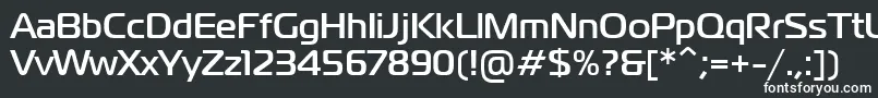 PtMagistralBoldCyrillic Font – White Fonts on Black Background