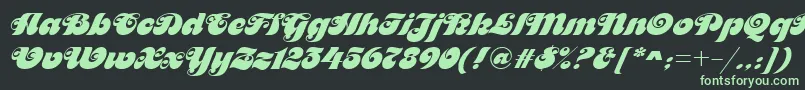 MaitreDRegular Font – Green Fonts on Black Background