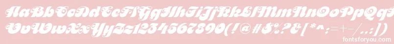 MaitreDRegular-Schriftart – Weiße Schriften auf rosa Hintergrund