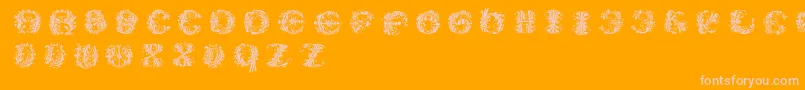 Flowerpowerround Font – Pink Fonts on Orange Background