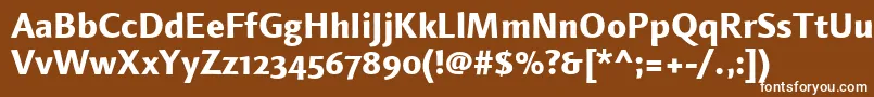 フォントLinotypefinneganosfExtrabold – 茶色の背景に白い文字
