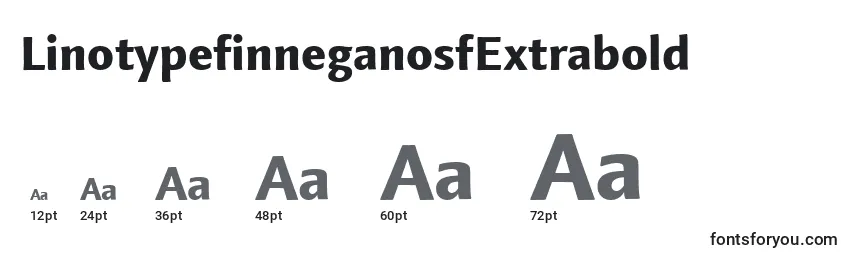 Größen der Schriftart LinotypefinneganosfExtrabold