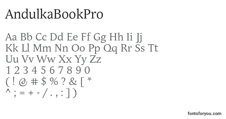 Шрифт AndulkaBookPro – алфавит, цифры, специальные символы