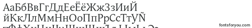 Шрифт AndulkaBookPro – русские шрифты