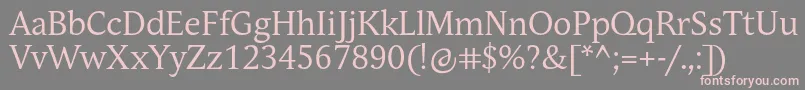 AndulkaBookPro Font – Pink Fonts on Gray Background