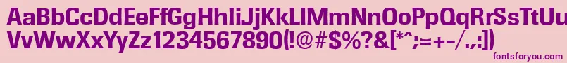 RochesterserialXboldRegular Font – Purple Fonts on Pink Background
