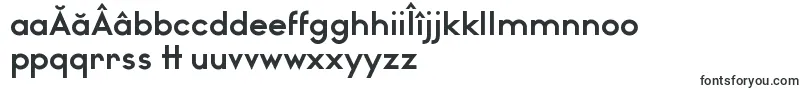 WatchwordBoldDemo Font – Romanian Fonts