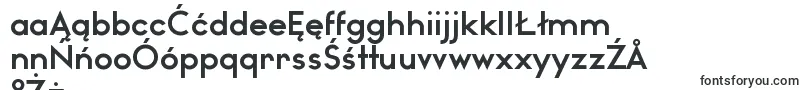 WatchwordBoldDemo Font – Polish Fonts