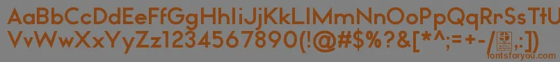 WatchwordBoldDemo Font – Brown Fonts on Gray Background