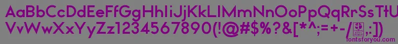 Шрифт WatchwordBoldDemo – фиолетовые шрифты на сером фоне