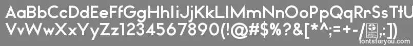 WatchwordBoldDemo Font – White Fonts on Gray Background