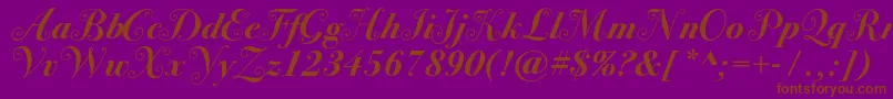 Bodoni72swashcBold-fontti – ruskeat fontit violetilla taustalla