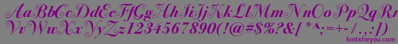 Bodoni72swashcBold Font – Purple Fonts on Gray Background