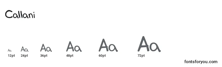 Callani Font Sizes
