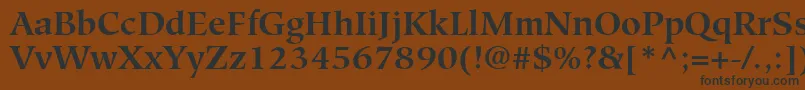 GlossarySsiBold Font – Black Fonts on Brown Background